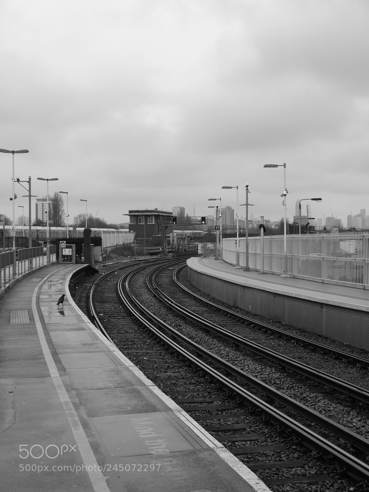 Panasonic Lumix DMC-GX7 sample photo. Follow the tracks photography