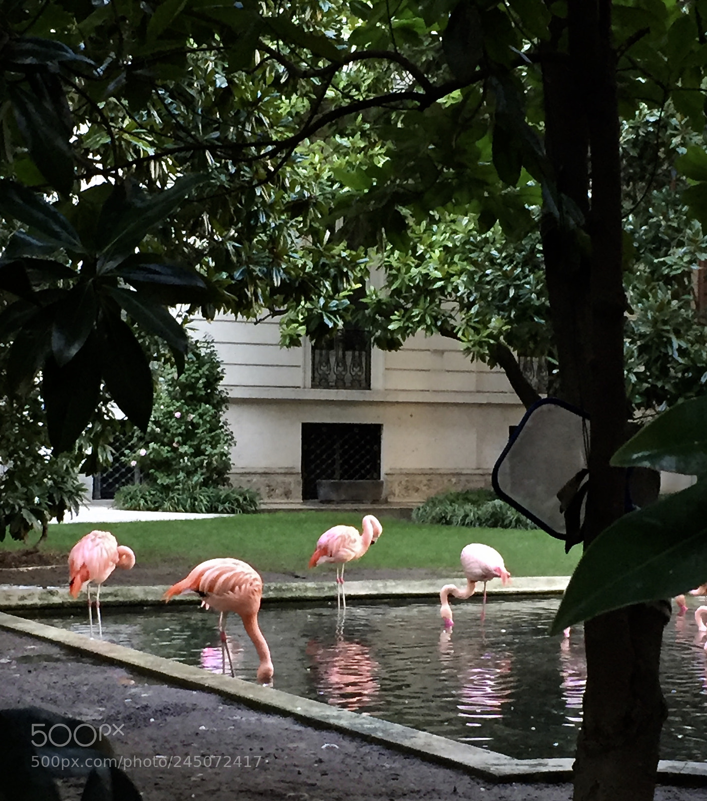 Apple iPhone 6 sample photo. Milan photography