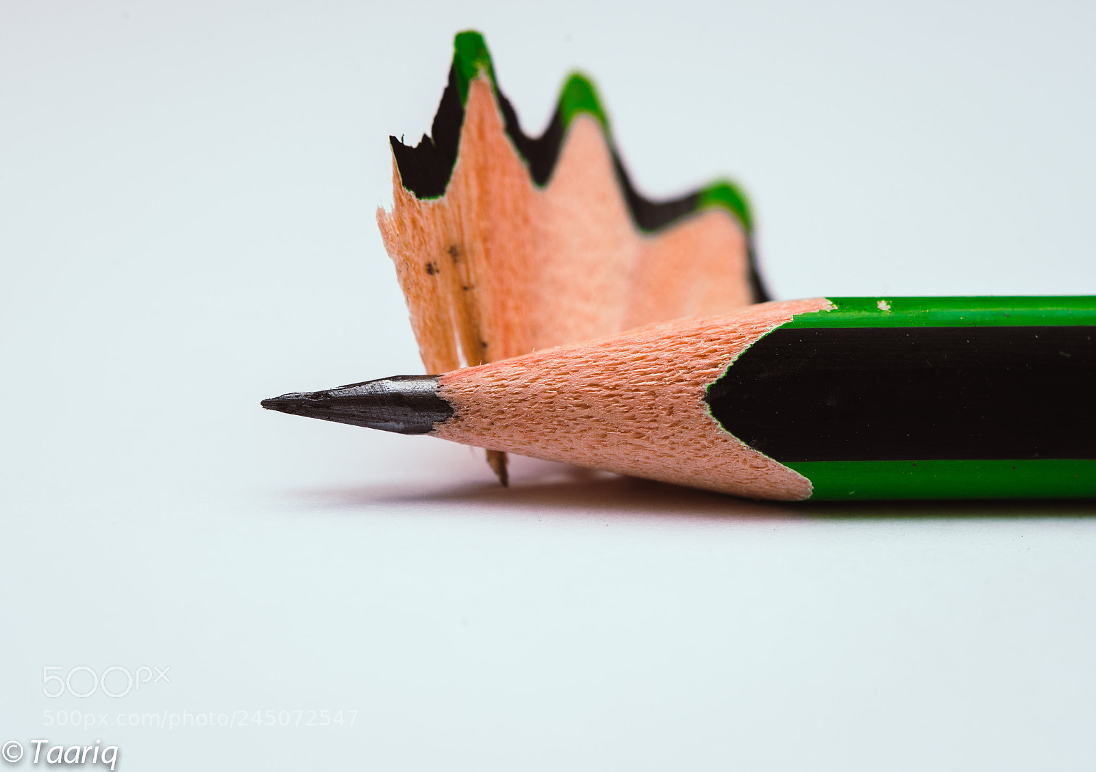 Nikon D610 sample photo. Pencil dust photography