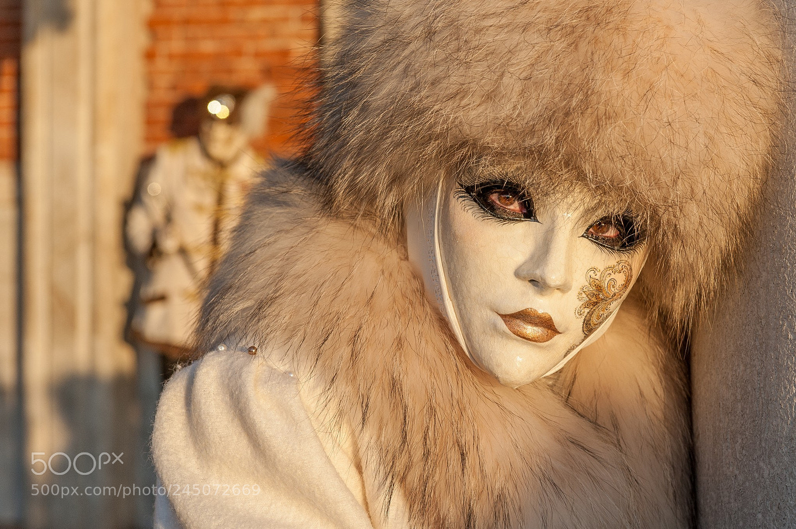 Nikon D700 sample photo. Venice carnival photography