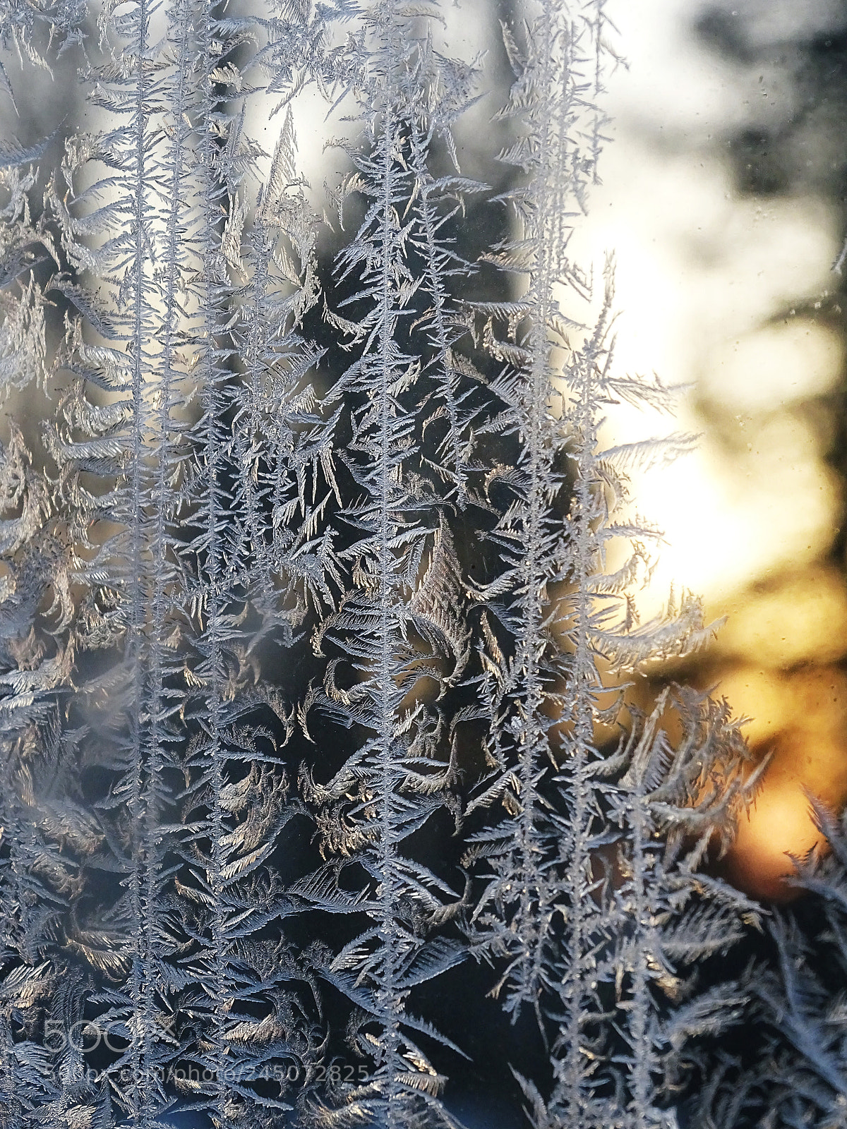 Sony Cyber-shot DSC-HX400V sample photo. Patterning photography