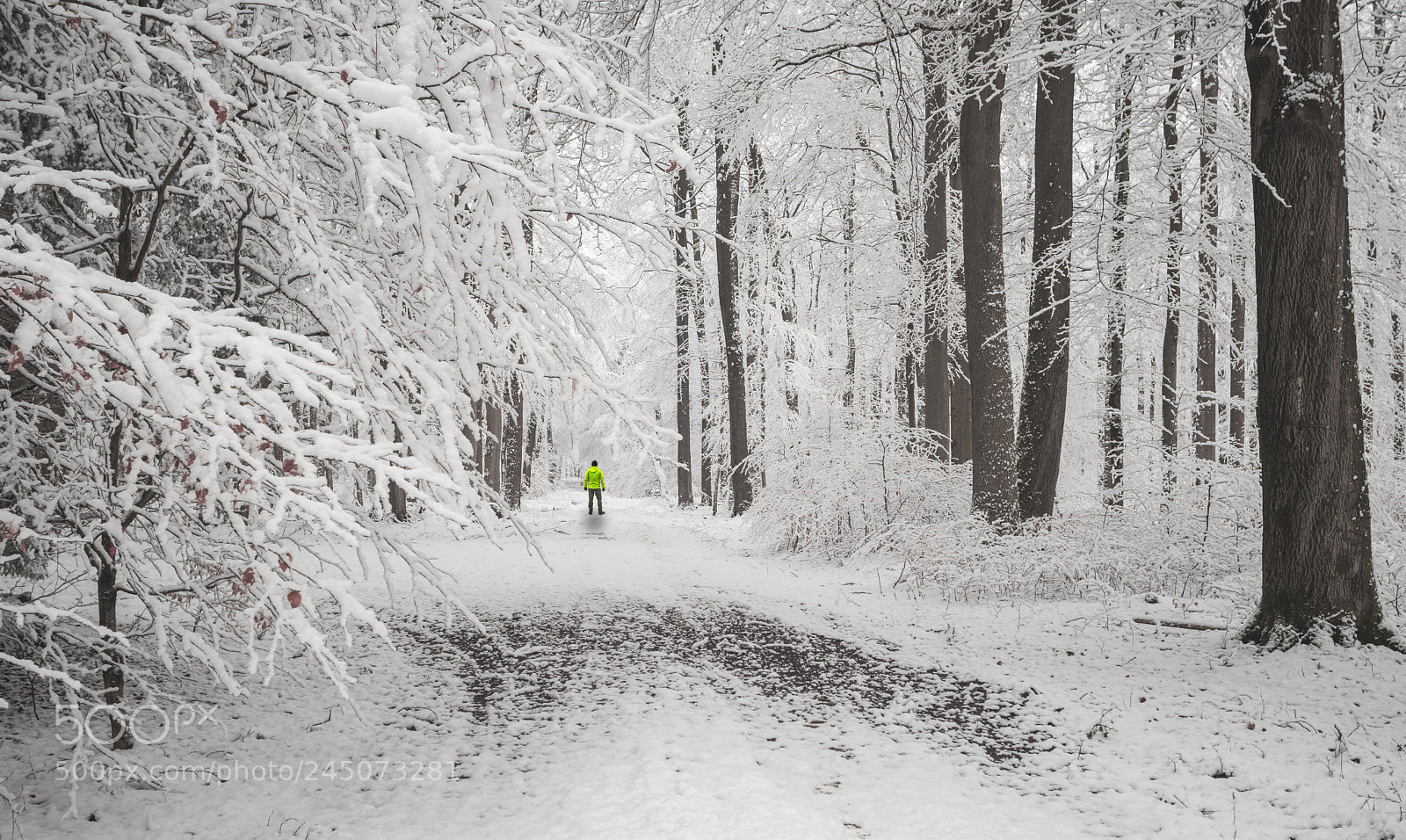 Sony a7 sample photo. Snow photography