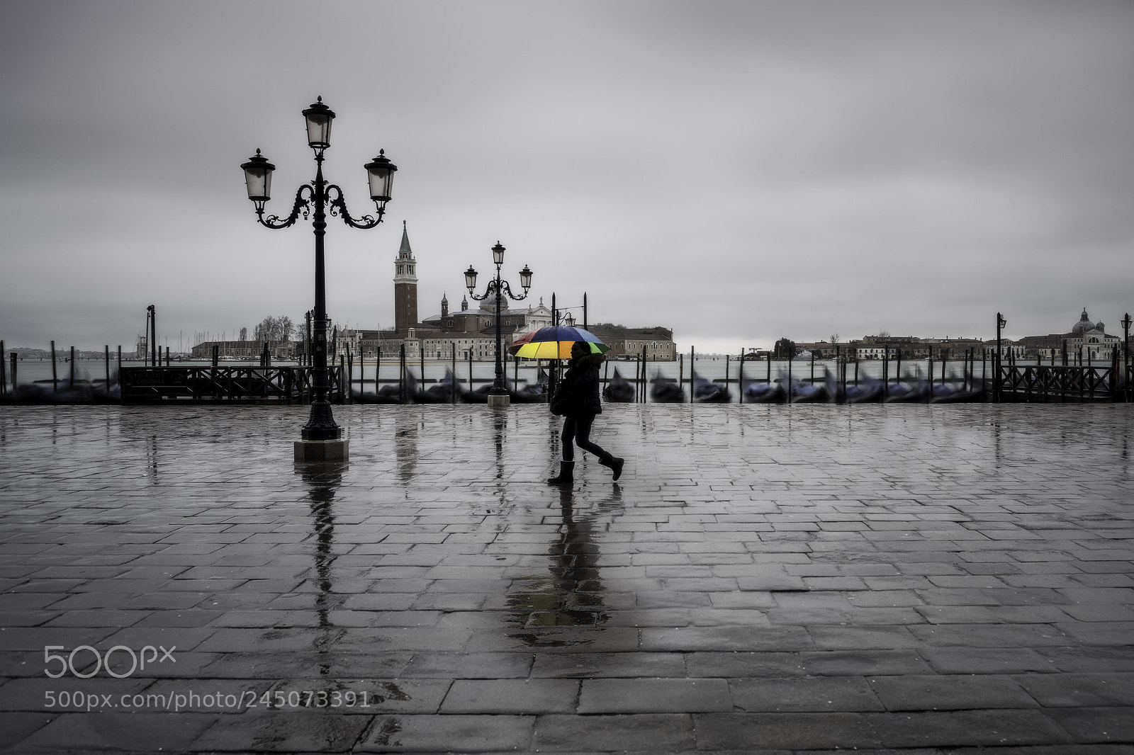 Nikon D850 sample photo. Rainy day photography