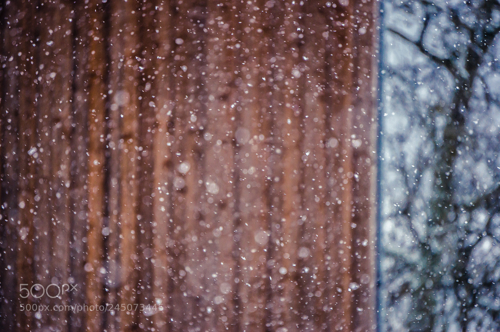 Sony Alpha NEX-5R sample photo. Meds photography