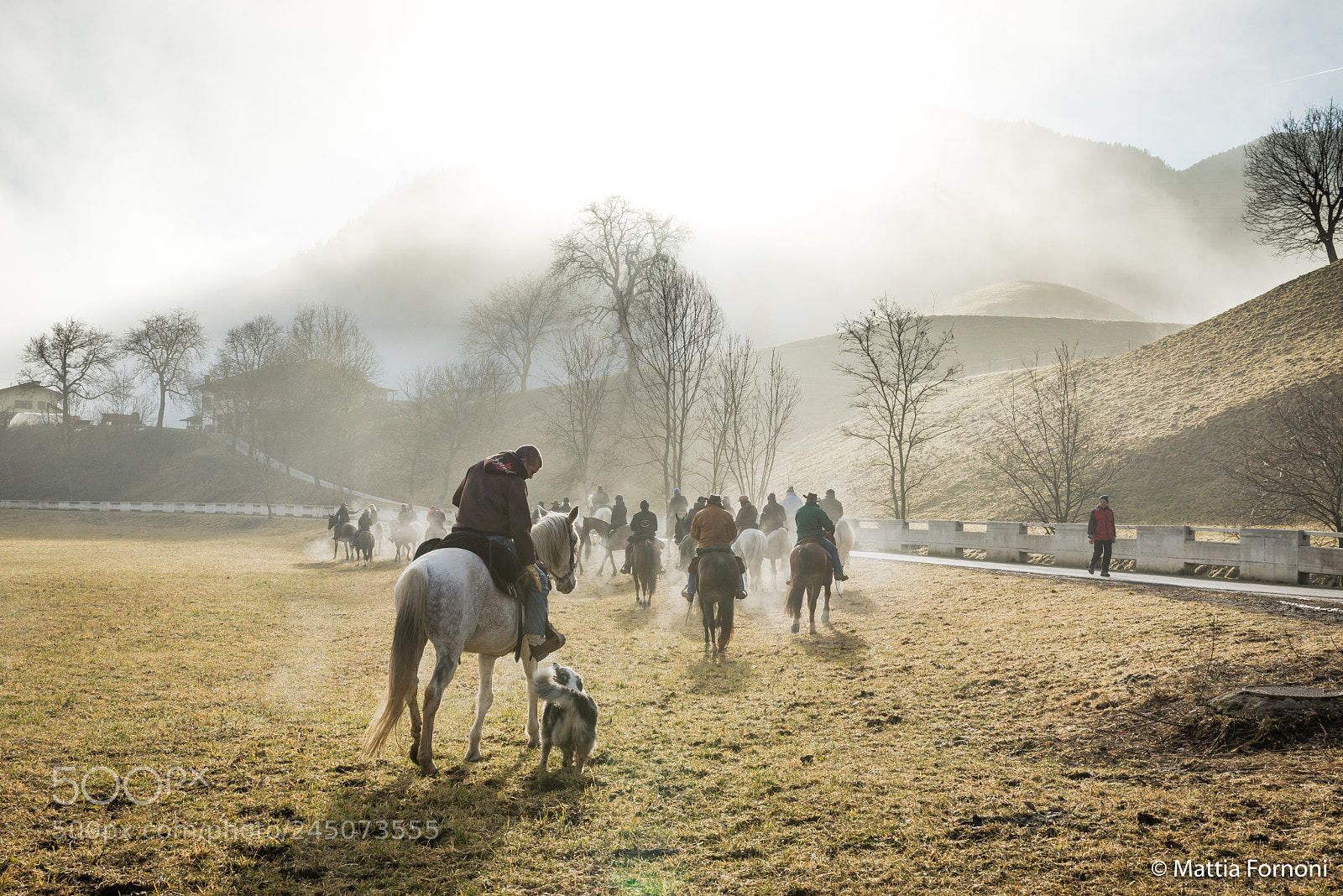 Nikon D610 sample photo. Compagni fedeli.jpg photography