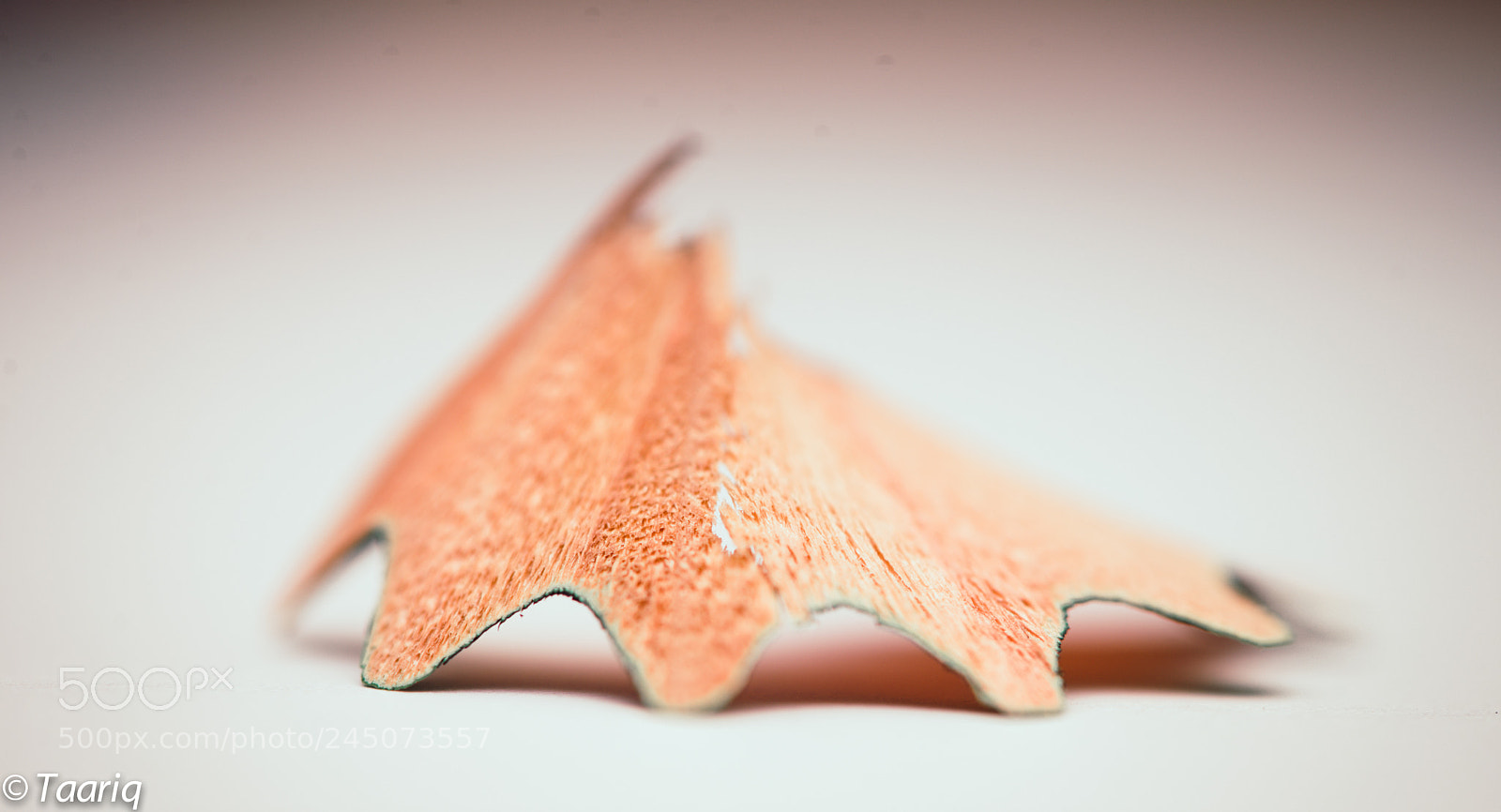 Nikon D610 sample photo. Pencil's dust photography