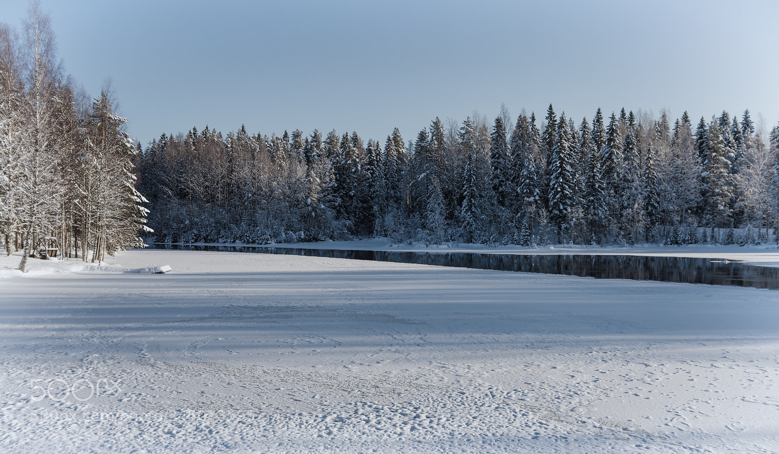 Nikon D600 sample photo. Cold day photography