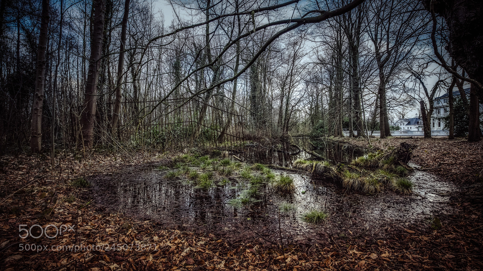 Nikon D850 sample photo. The wetlands of edegem photography