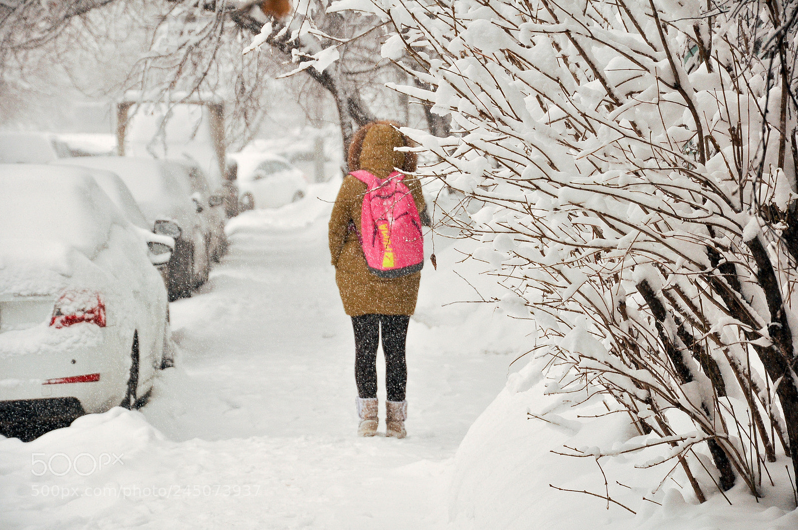 Nikon D90 sample photo. Winter photography