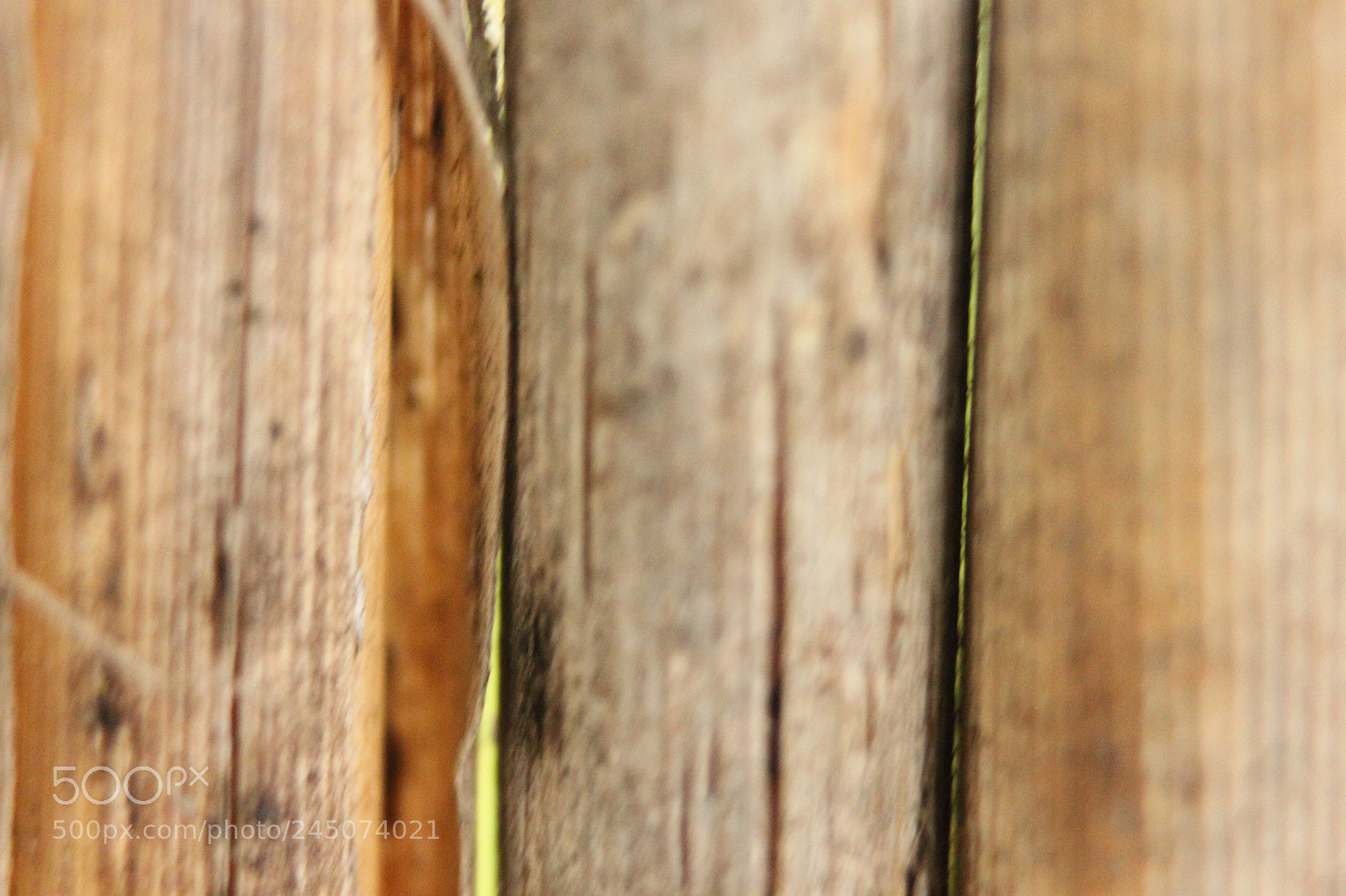 Canon EF-S 18-55mm F3.5-5.6 IS sample photo. Img photography
