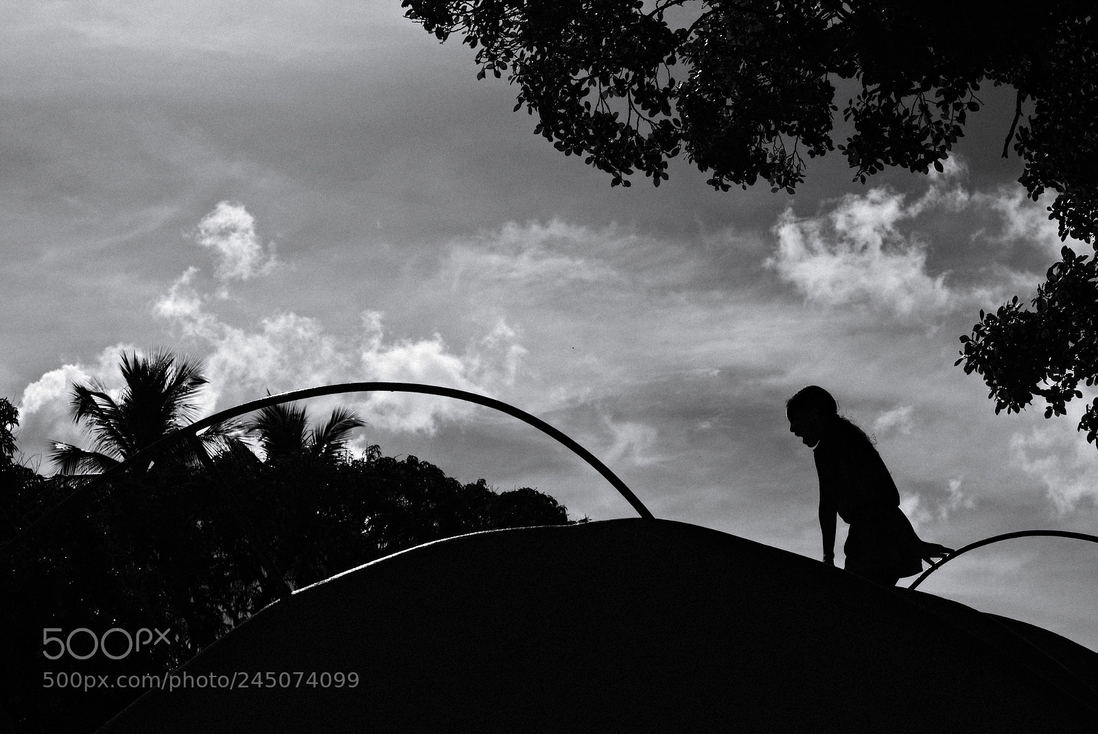 Fujifilm X-Pro2 sample photo. Silhouette of a happy photography
