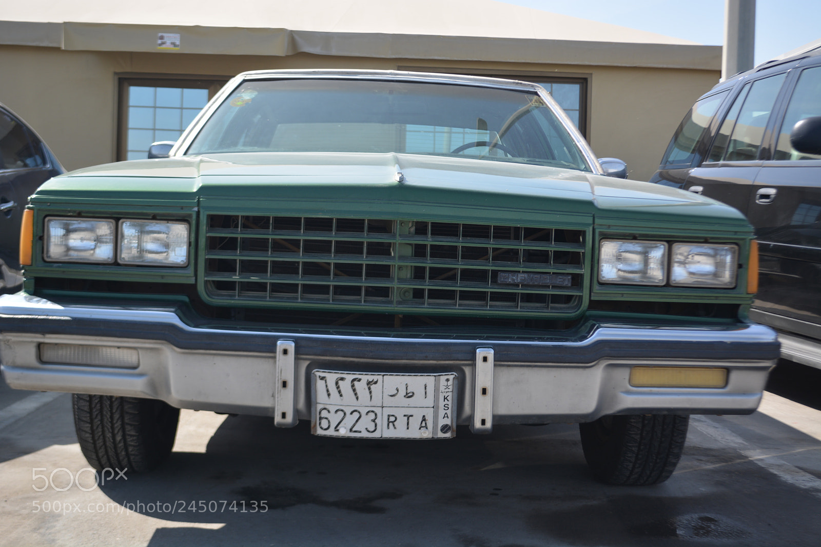 Nikon D5200 sample photo. The giant photography