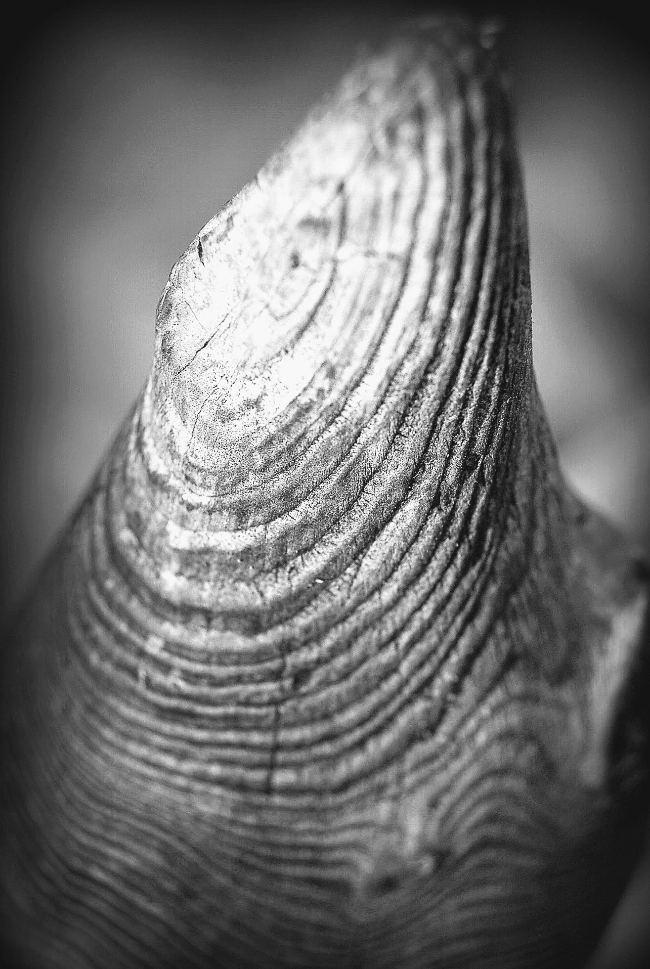Nikon D50 sample photo. Abstract photography