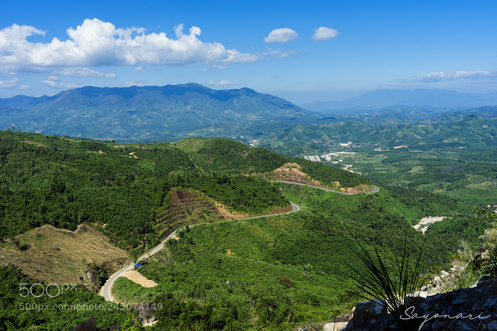 Sony a7 II sample photo. Dsc photography