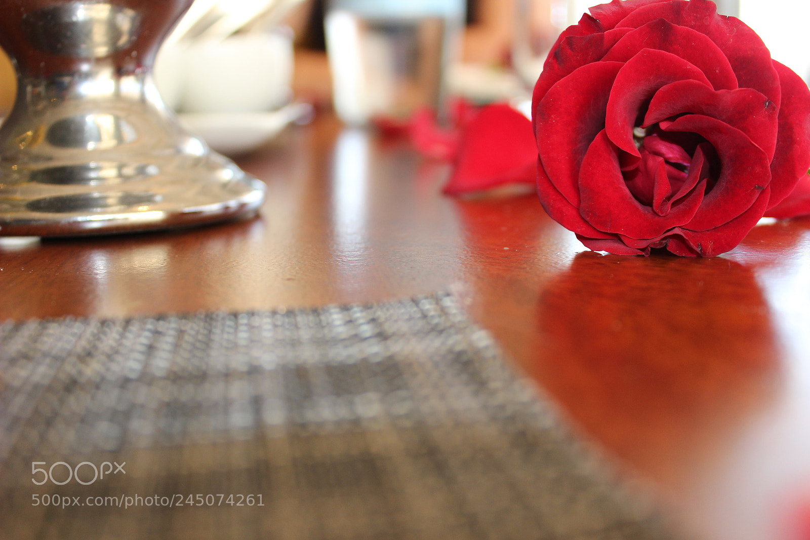 Canon EOS 100D (EOS Rebel SL1 / EOS Kiss X7) sample photo. The rose photography