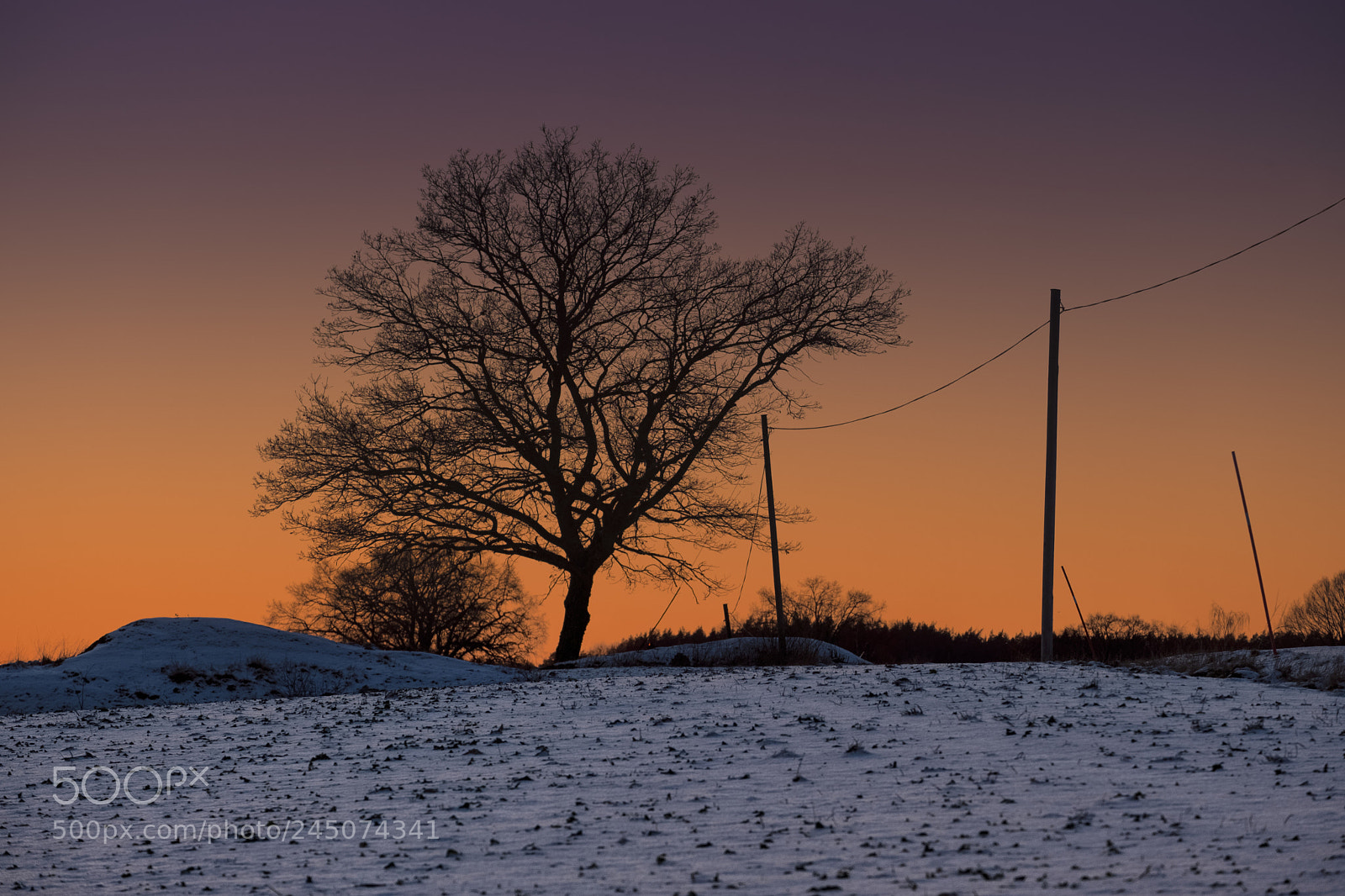 Fujifilm X-T2 sample photo. Midwinter in mid-sweden photography
