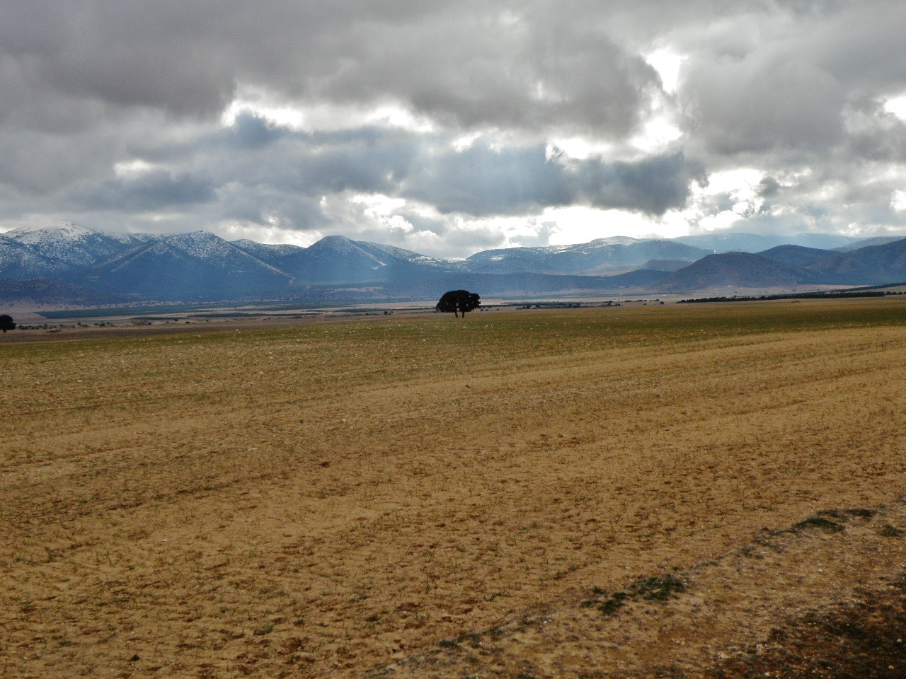Olympus SP-565UZ sample photo. Landscape / andalusia photography
