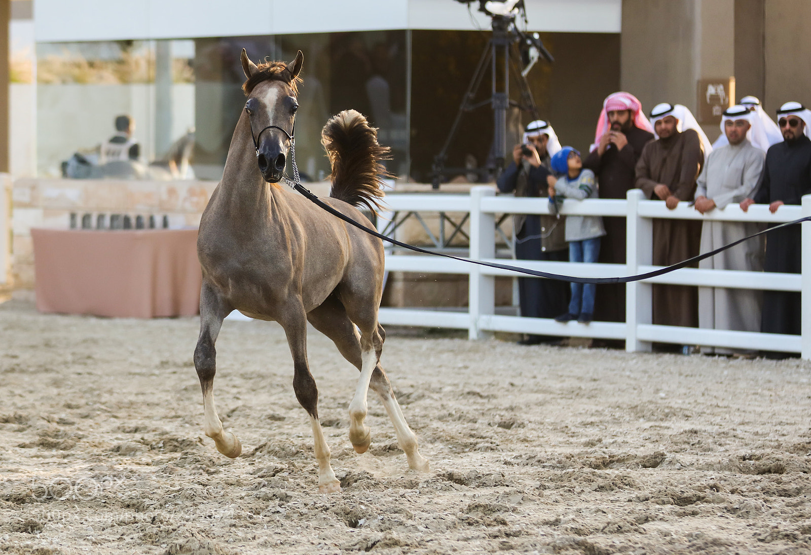 Canon EOS 5DS sample photo. Ia photography