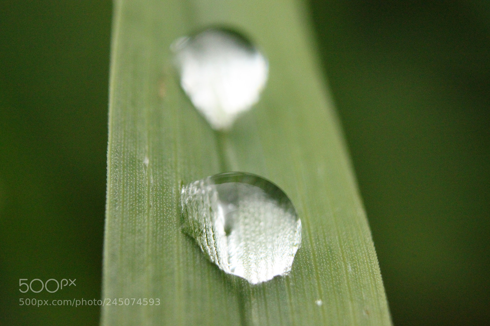 Canon EF-S 18-55mm F3.5-5.6 IS sample photo. Img photography