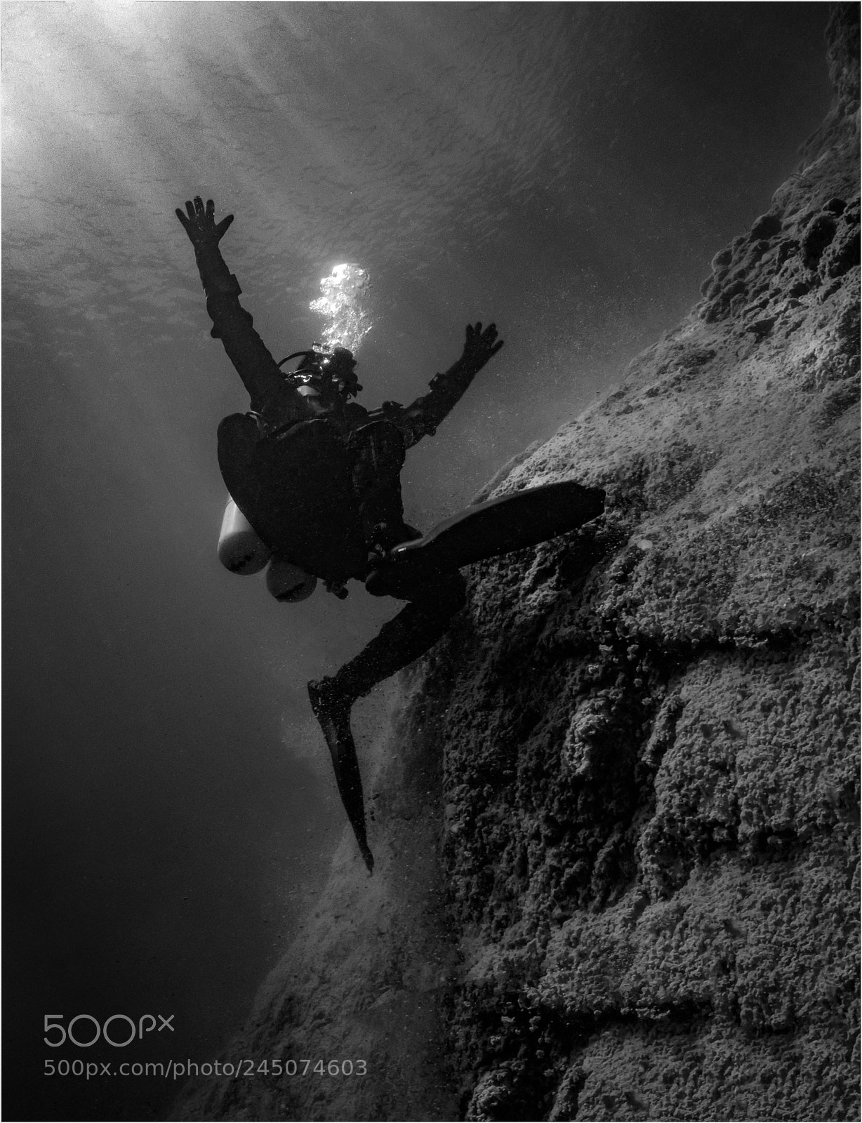 Nikon D800E sample photo. Falling down photography
