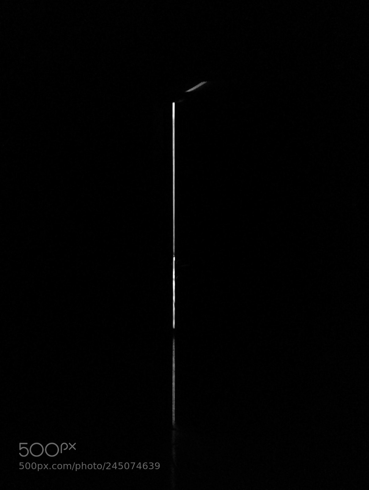 Apple iPhone 5 sample photo. Untitled photography