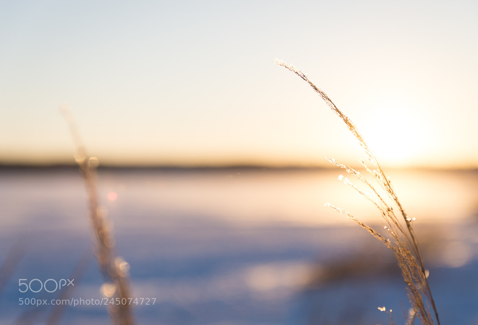 Nikon D7200 sample photo. Cold winter sunset photography
