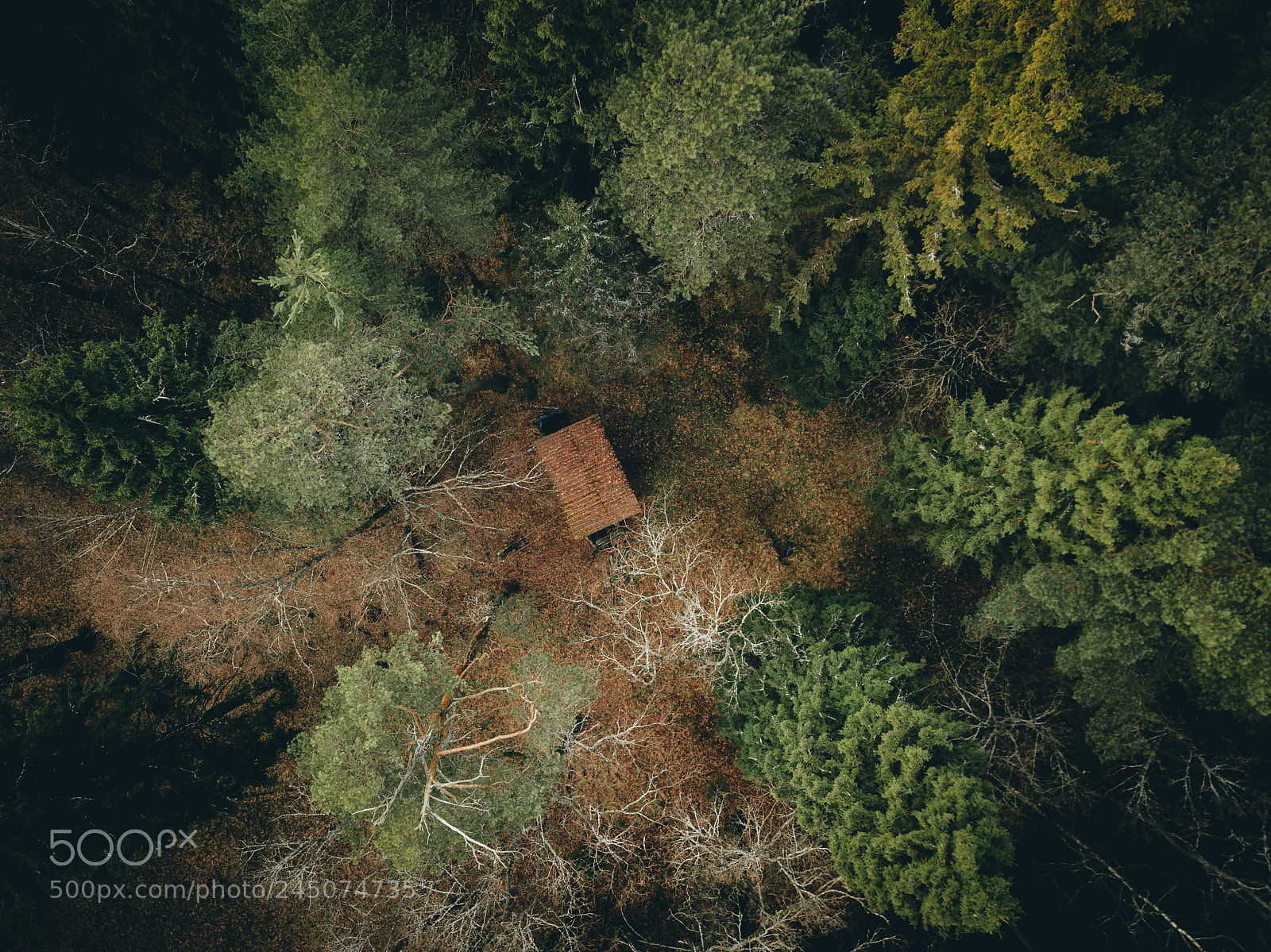 DJI FC220 sample photo. Lonely hut photography