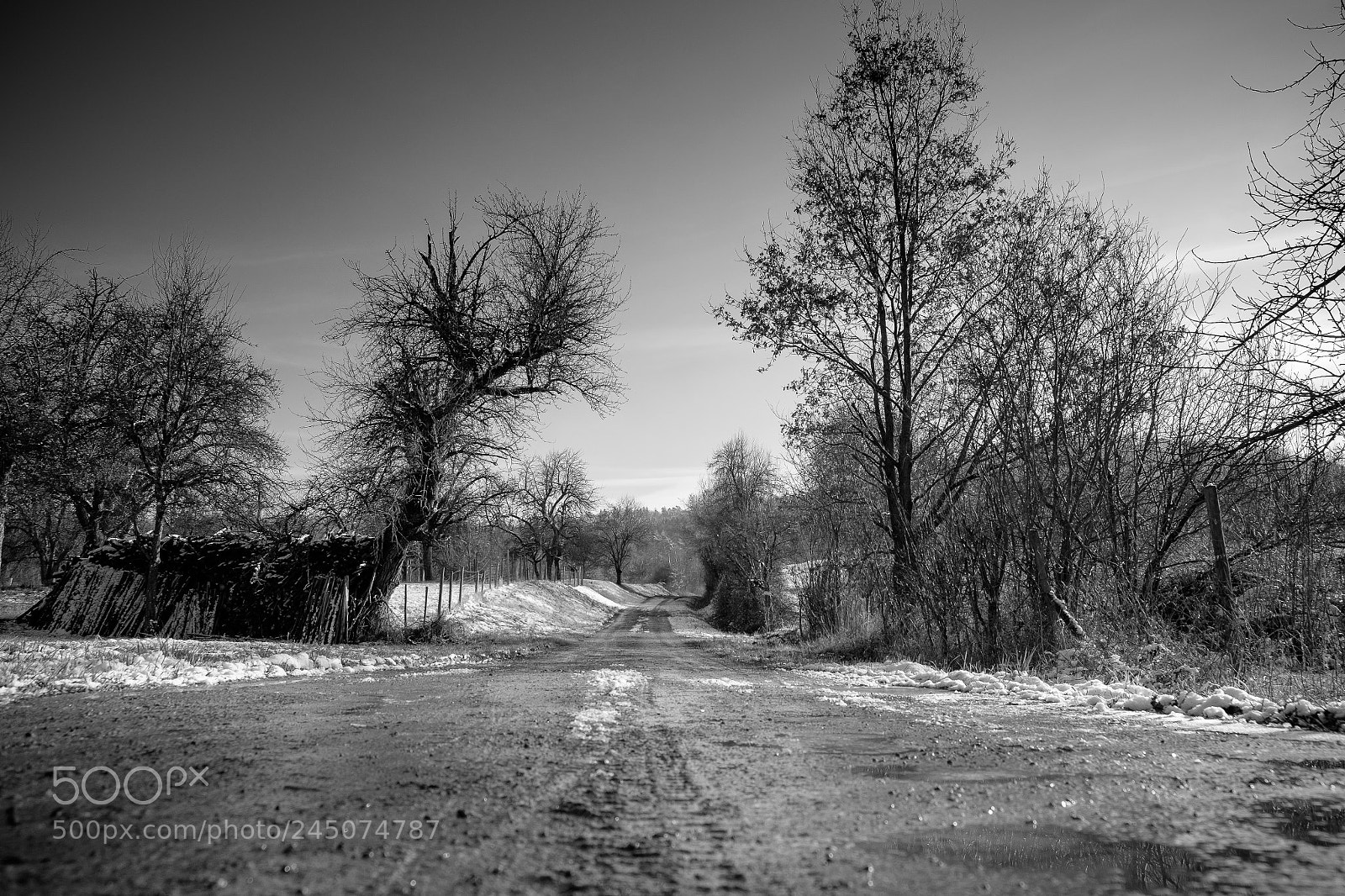 Fujifilm X-T10 sample photo. Untitled photography