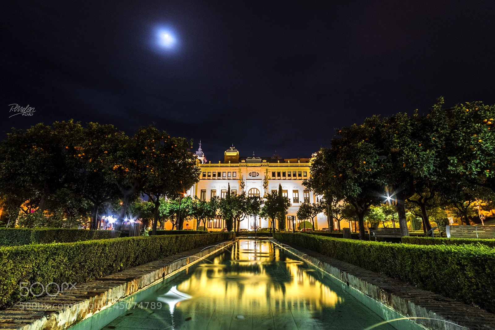 Sony SLT-A68 sample photo. Jardines de pedro luis photography