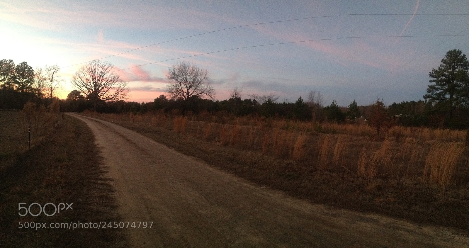 Apple iPhone 4S sample photo. Untitled photography
