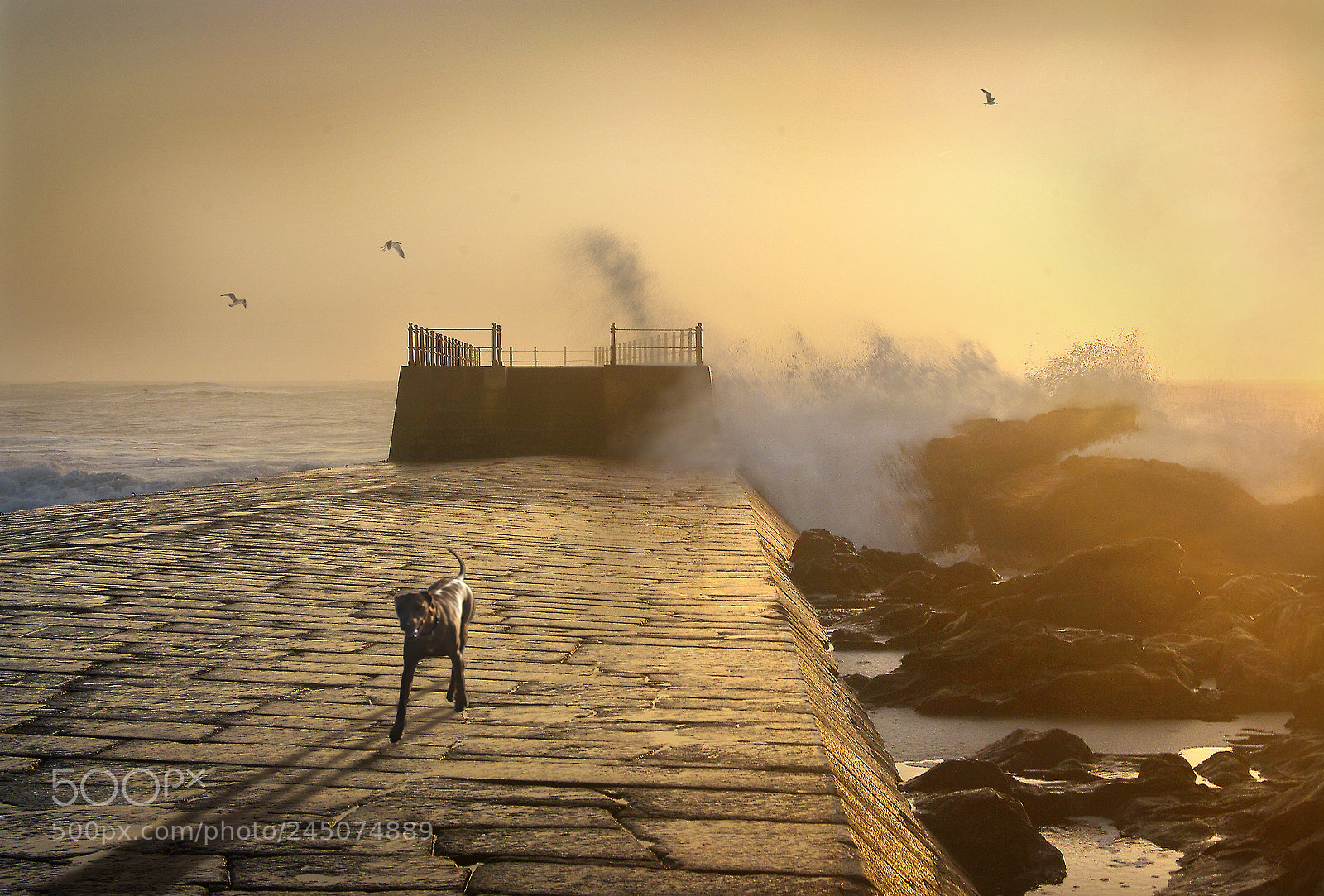 Pentax K20D sample photo. Waves against the pier photography