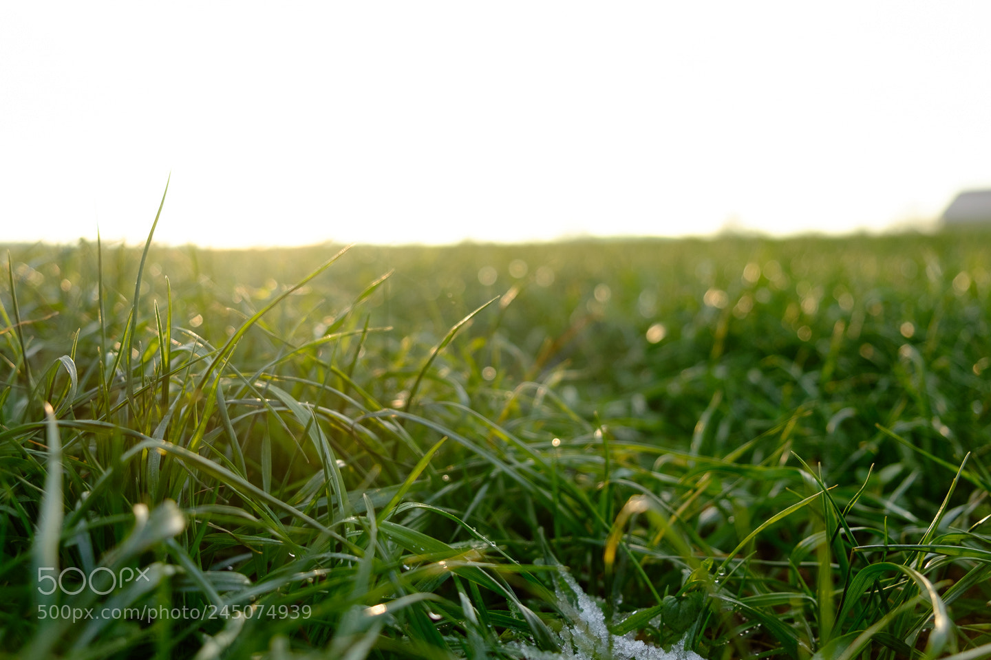 Fujifilm X-T10 sample photo. Untitled photography