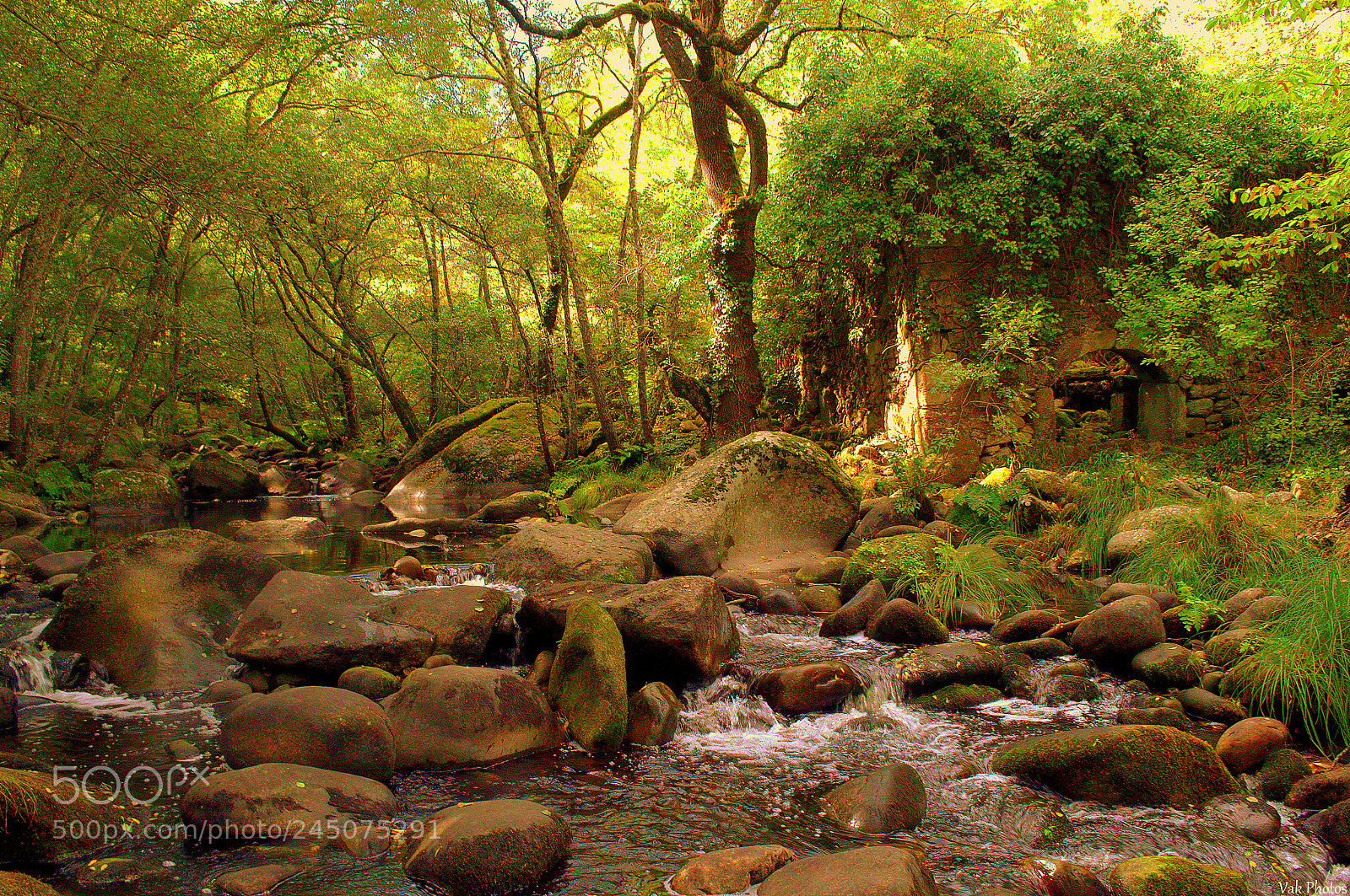 Nikon D3100 sample photo. Ruins photography