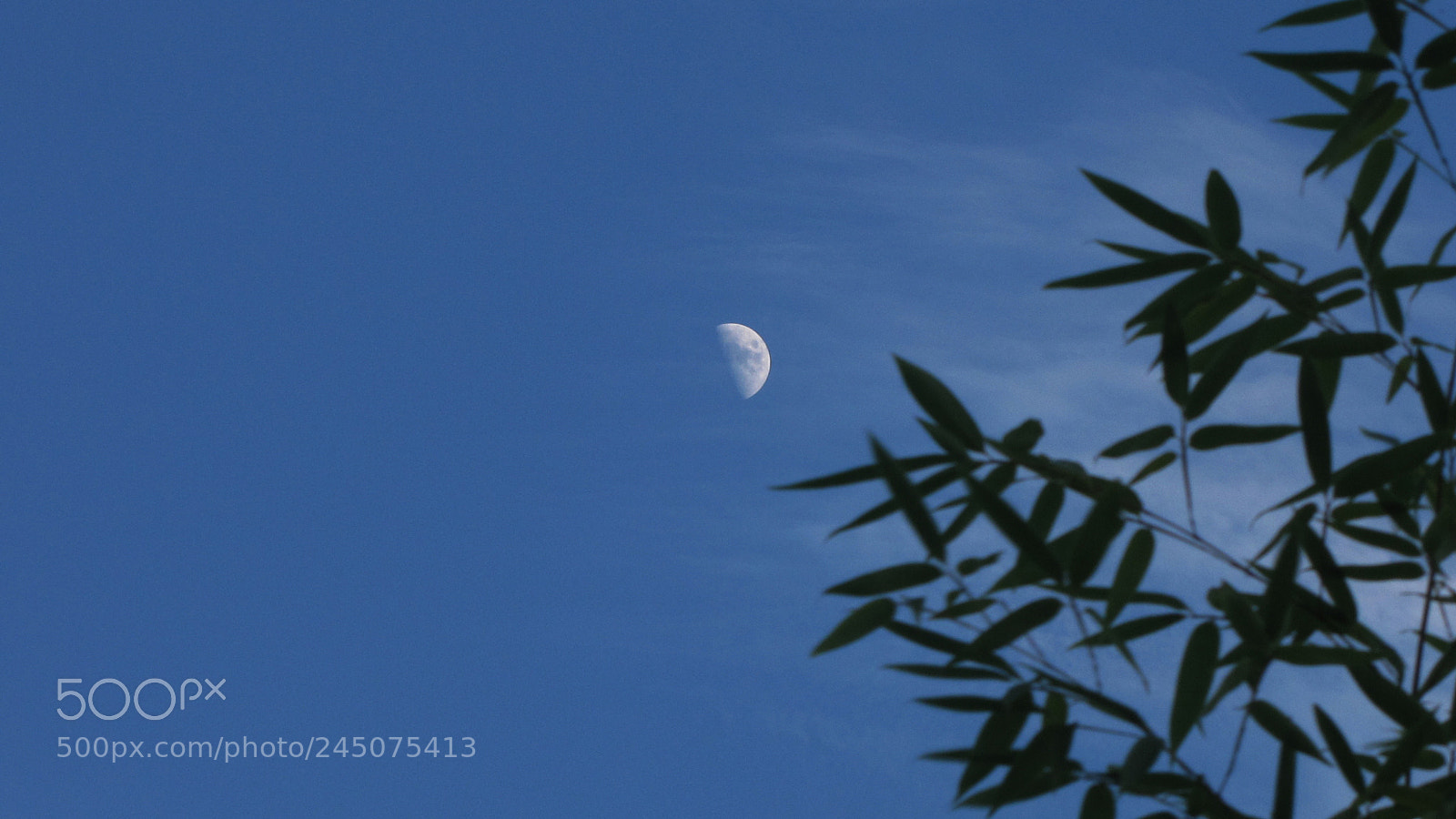 Canon PowerShot SX10 IS sample photo. Moonlight in wuyi mountain photography