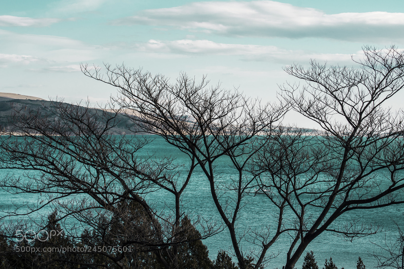 Nikon D3200 sample photo. Untitled photography