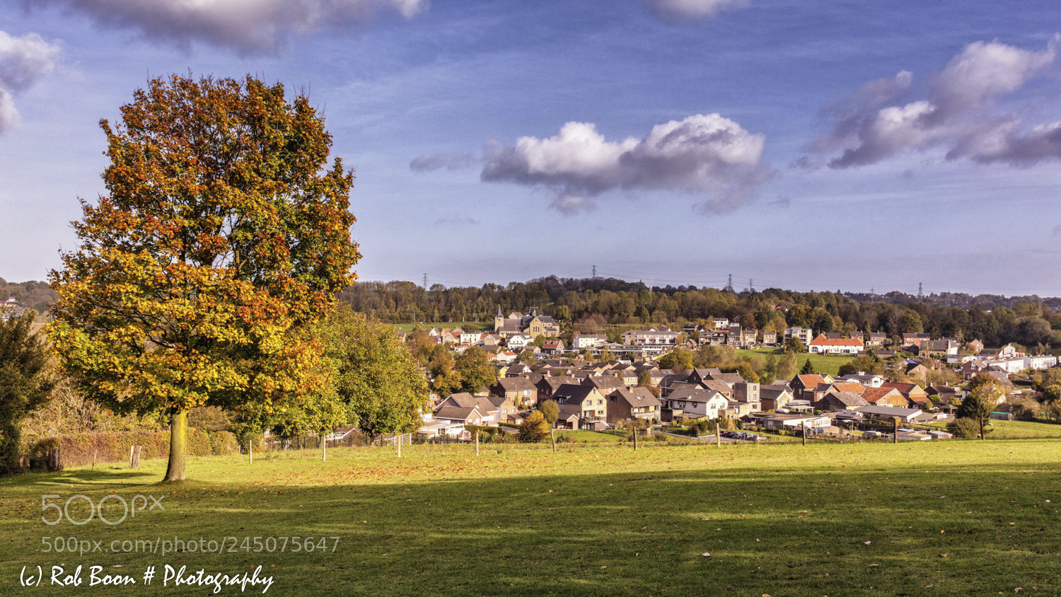 Canon EOS 5DS sample photo. Autumn colours schin op photography