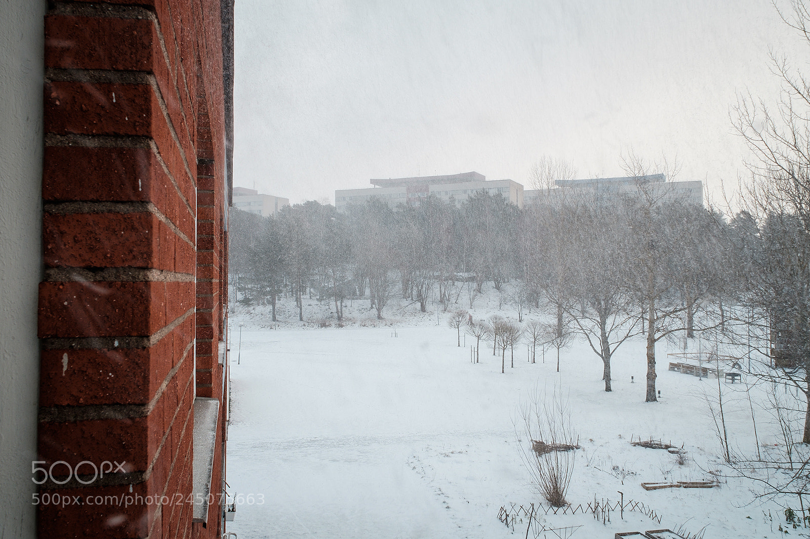Fujifilm X-T10 sample photo. Snow is falling... photography