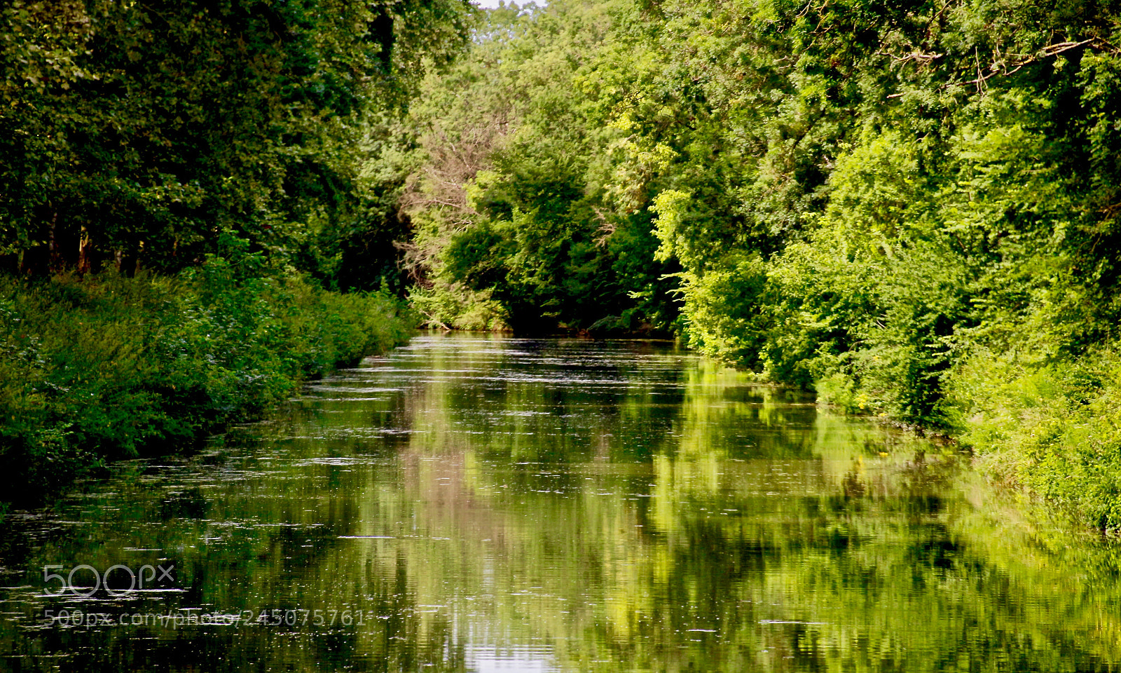 Canon EOS 100D (EOS Rebel SL1 / EOS Kiss X7) sample photo. Green river photography