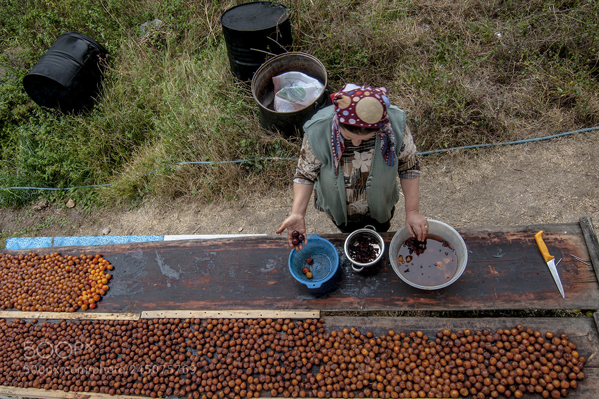 Nikon D90 sample photo. Plum drying photography