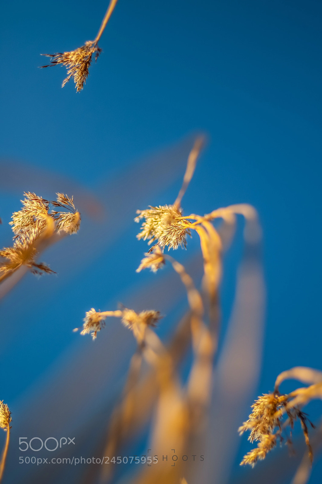 Canon EOS 7D Mark II sample photo. Up above the sky photography