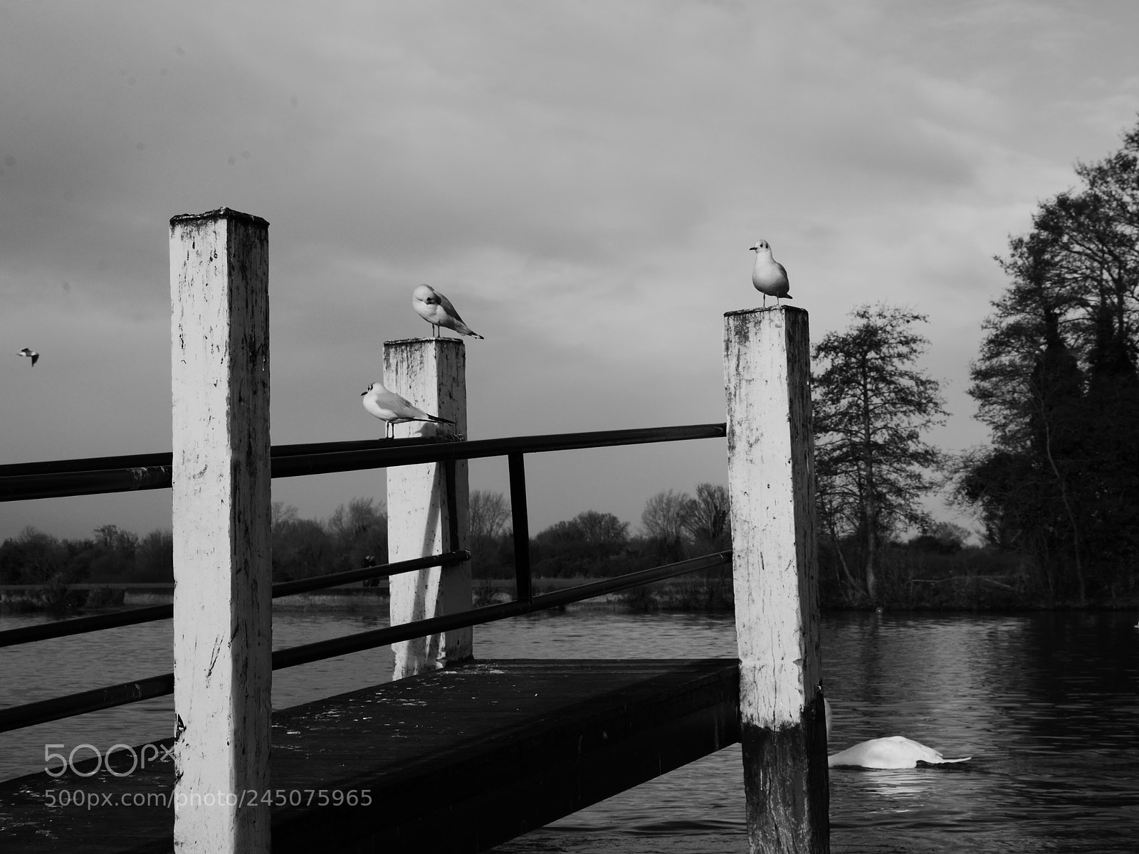 Panasonic Lumix DMC-GX7 sample photo. Jetty photography