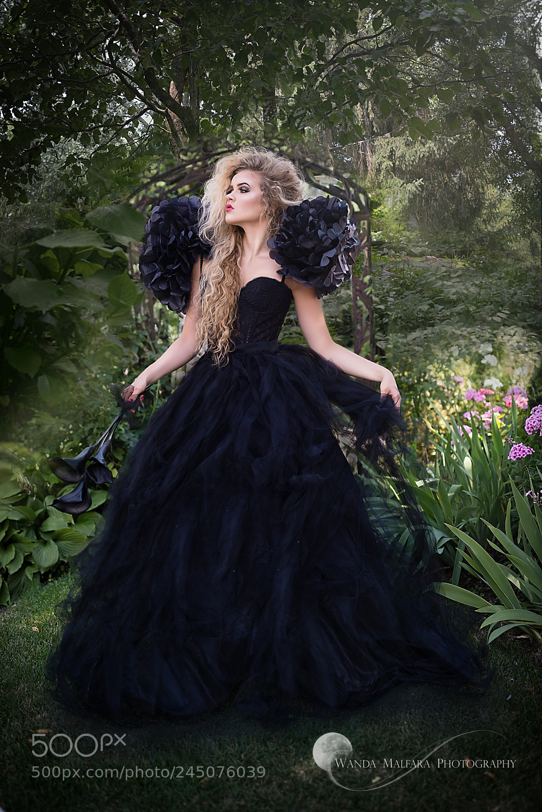 Nikon D800 sample photo. Wanda malfara fashion in photography