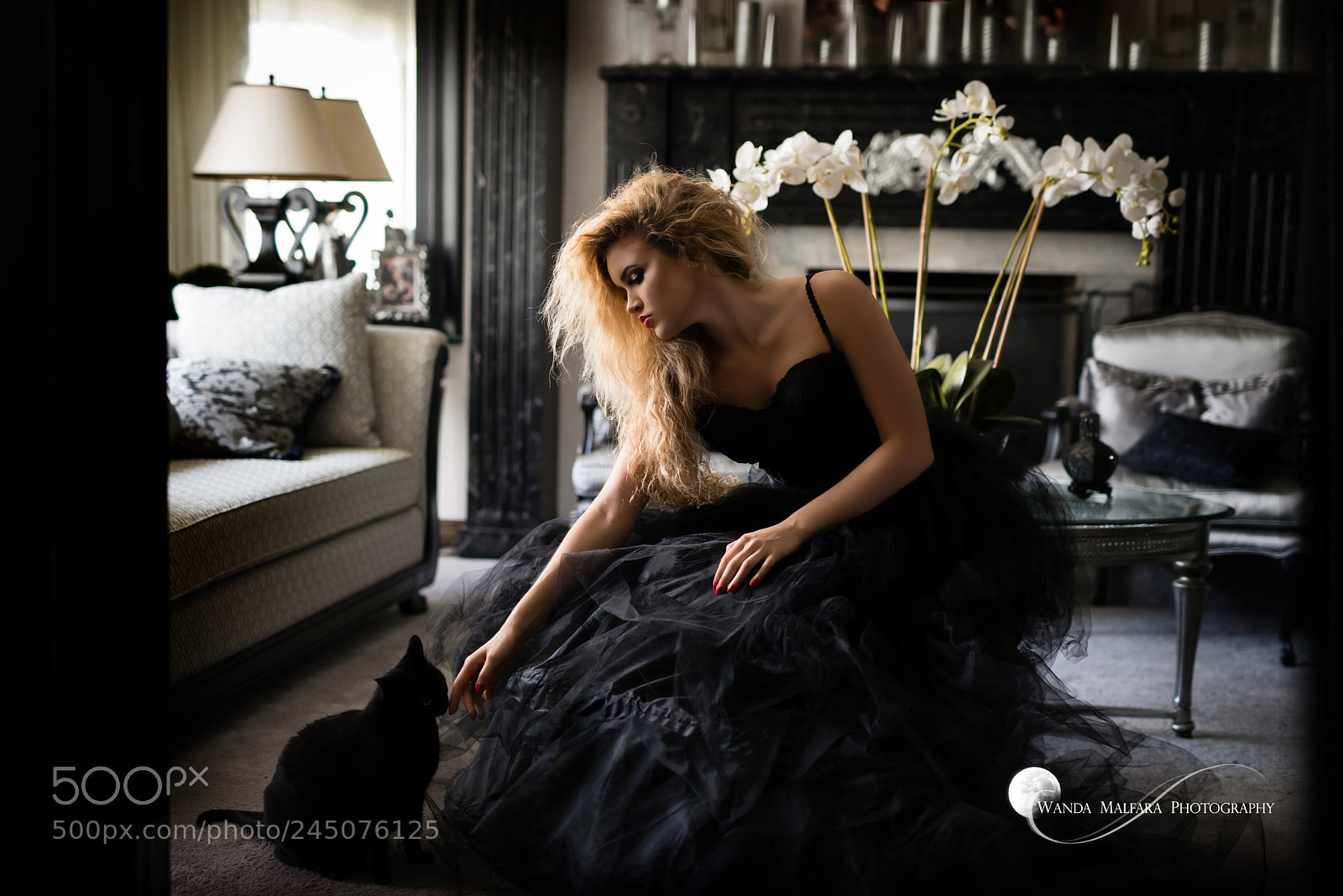 Nikon D800 sample photo. Wanda malfara here kitty photography