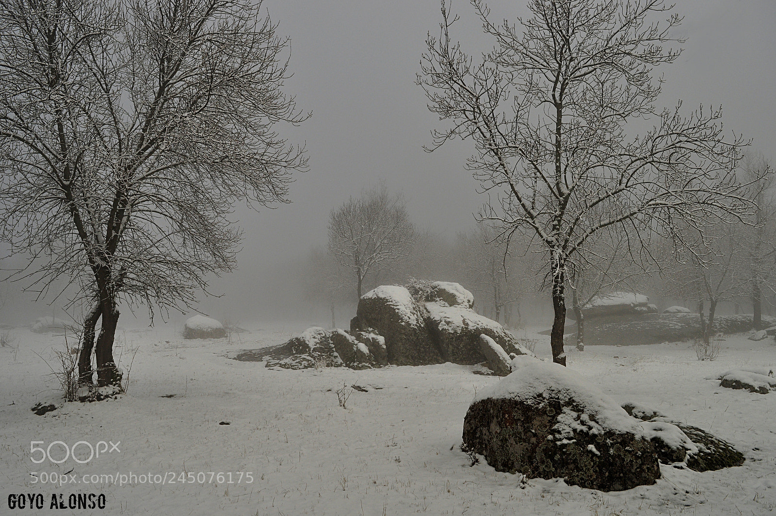Nikon D5000 sample photo. Nieves photography