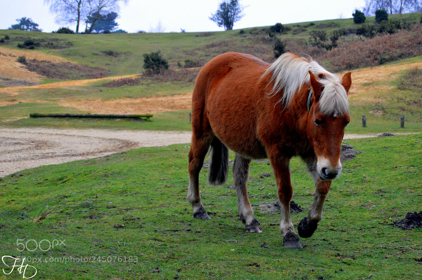 Nikon D3200 sample photo. I'm coming photography