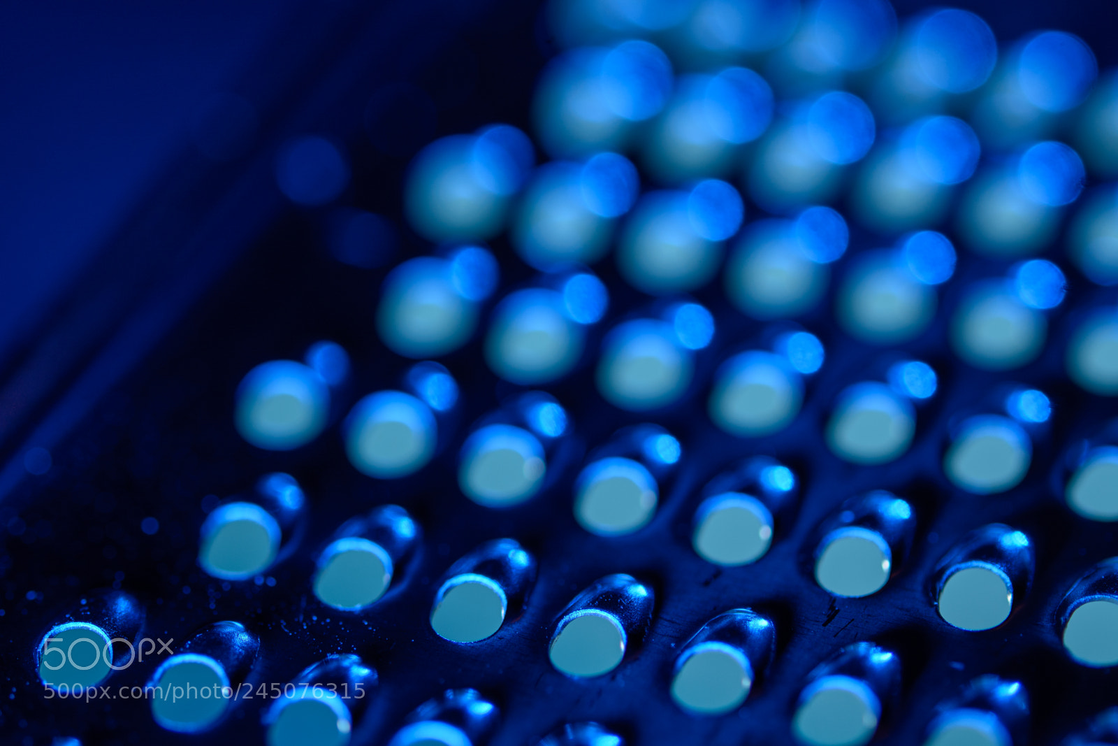 Nikon D7100 sample photo. Rasp blue photography