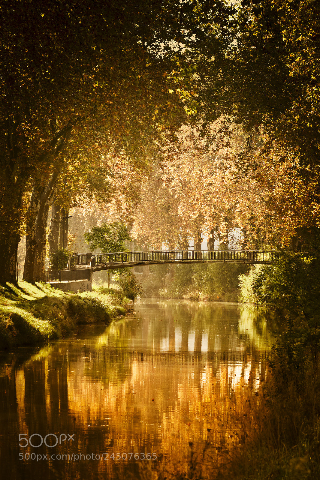 Nikon D7200 sample photo. Magic canal photography
