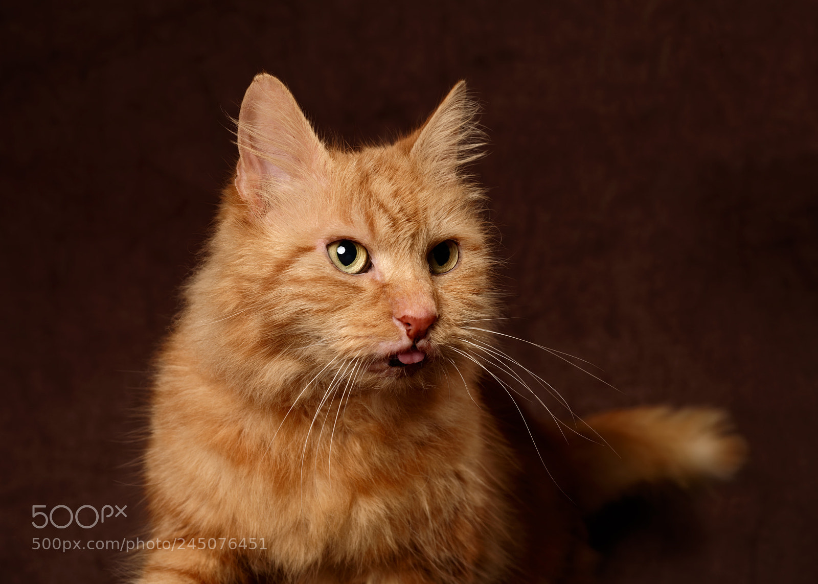 Nikon D810 sample photo. 'smurf' photography
