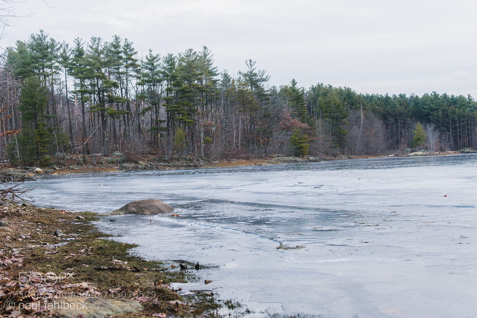 Nikon D7200 sample photo. Untitled8 photography