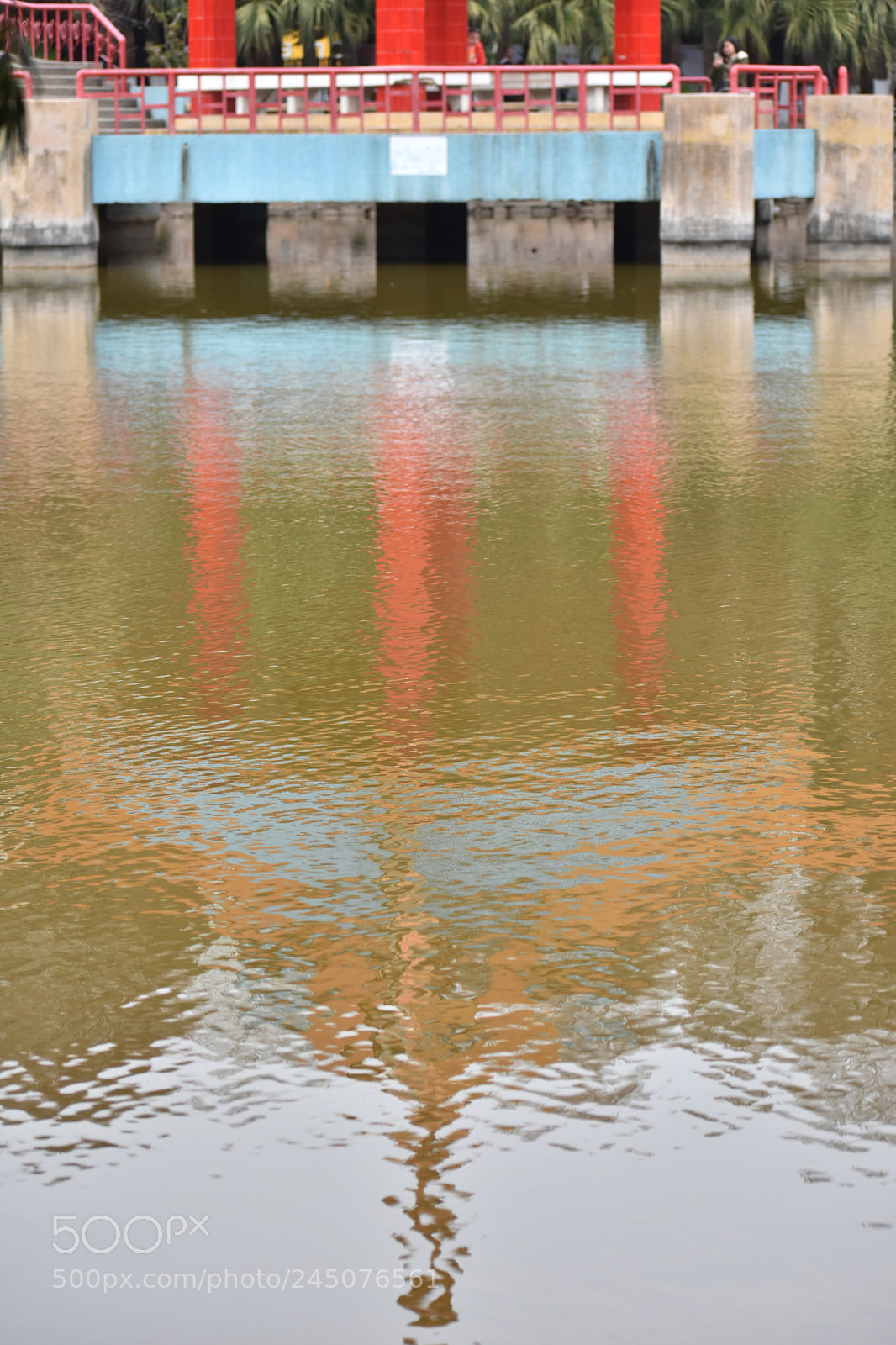 Nikon D7200 sample photo. Graceful photography